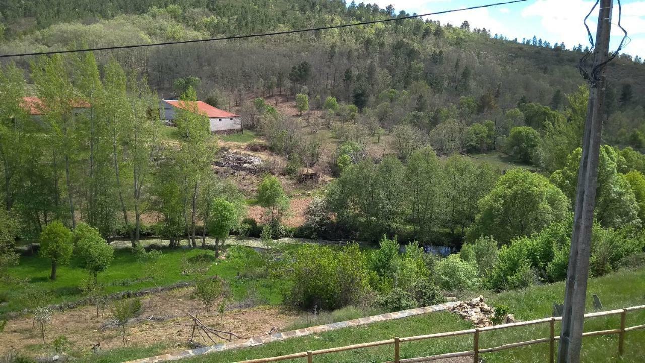 Serapicos House Bragança Dış mekan fotoğraf