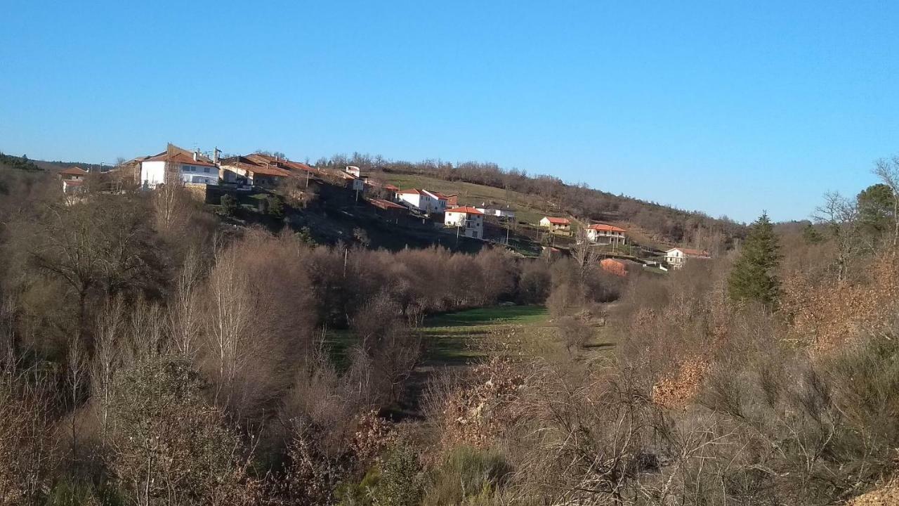 Serapicos House Bragança Dış mekan fotoğraf